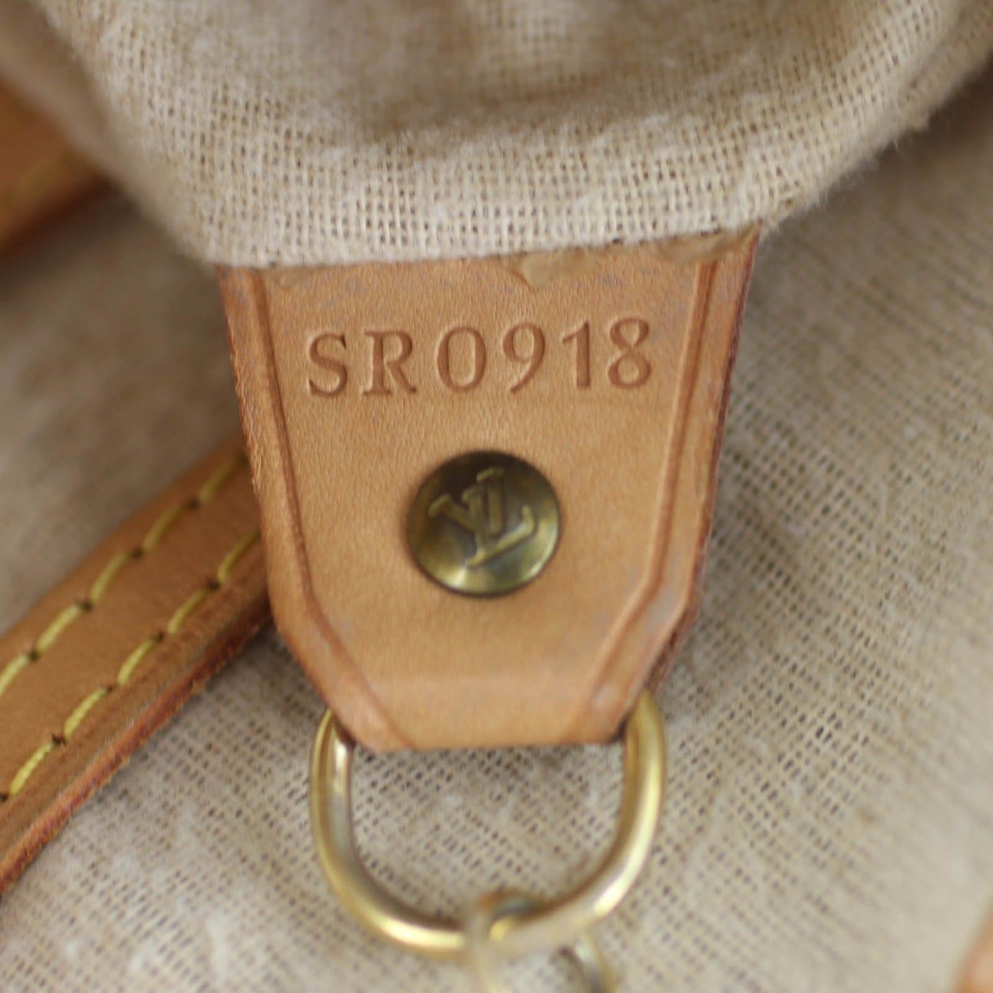 Louis Vuitton Bucket Bag Monogram