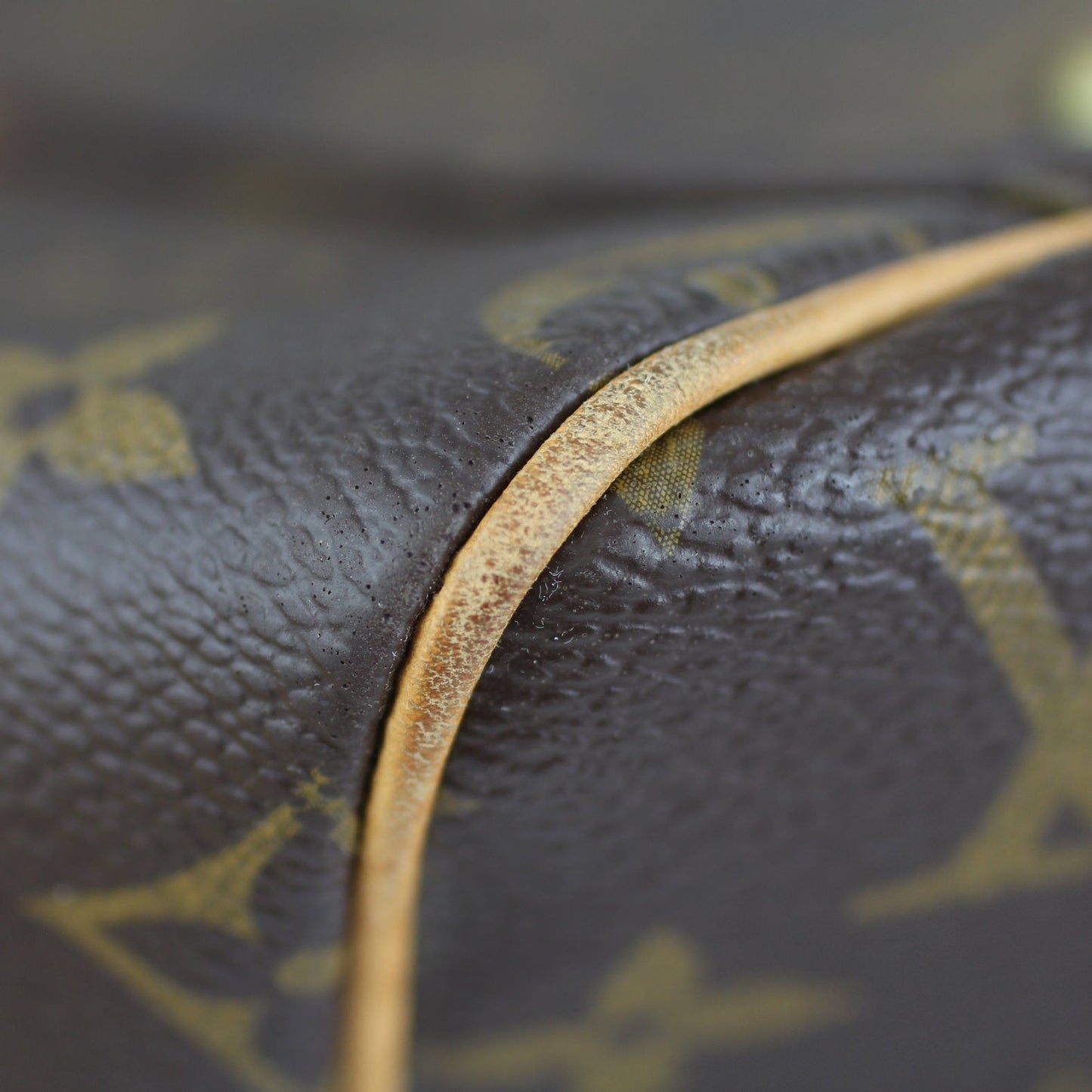 Louis Vuitton Carryall Monogram