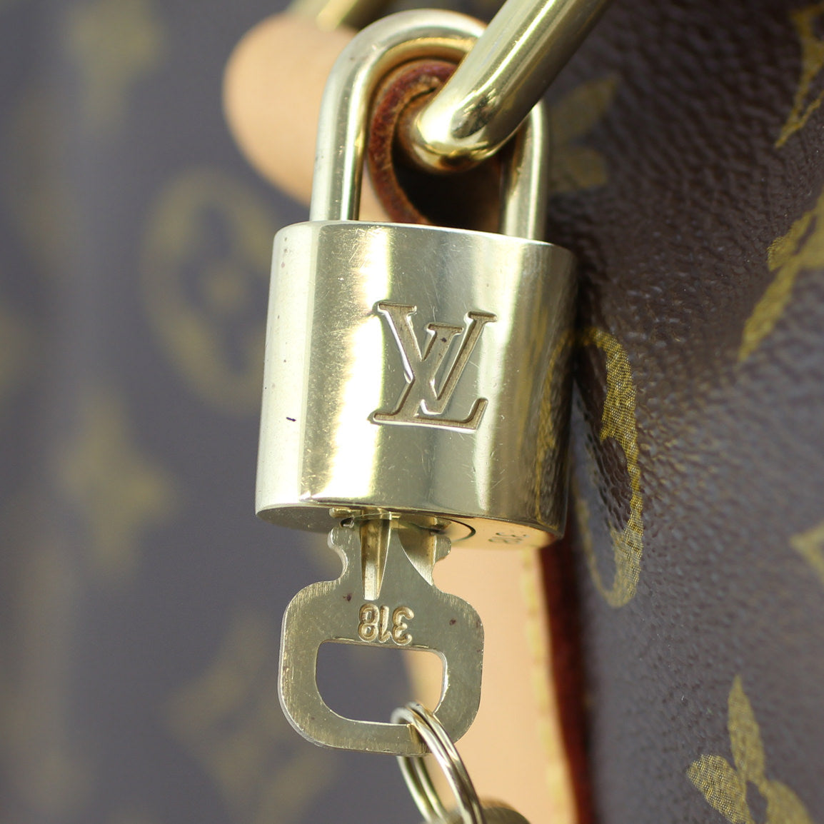Louis Vuitton Carryall Monogram