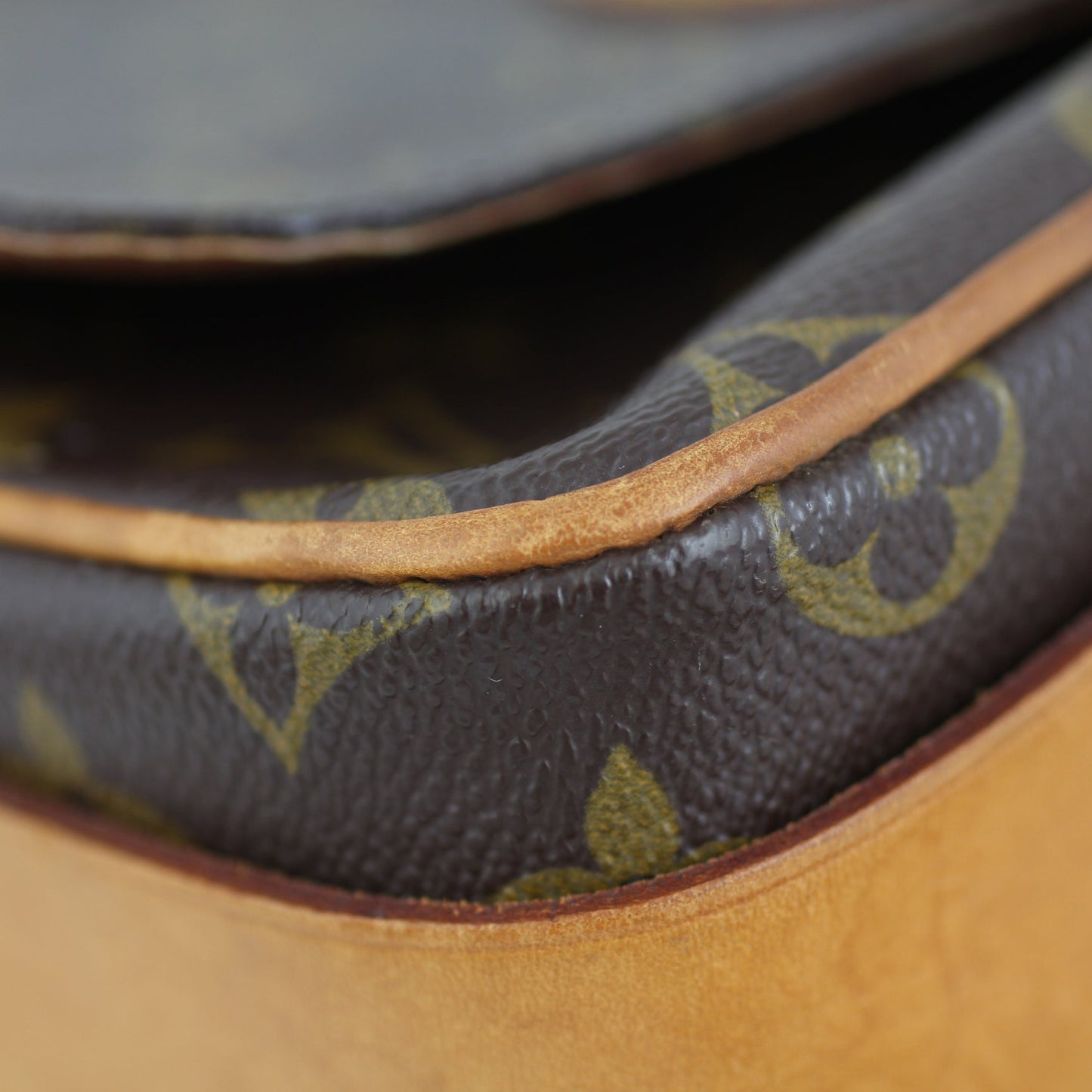 Louis Vuitton Cartouchiere MM Monogram