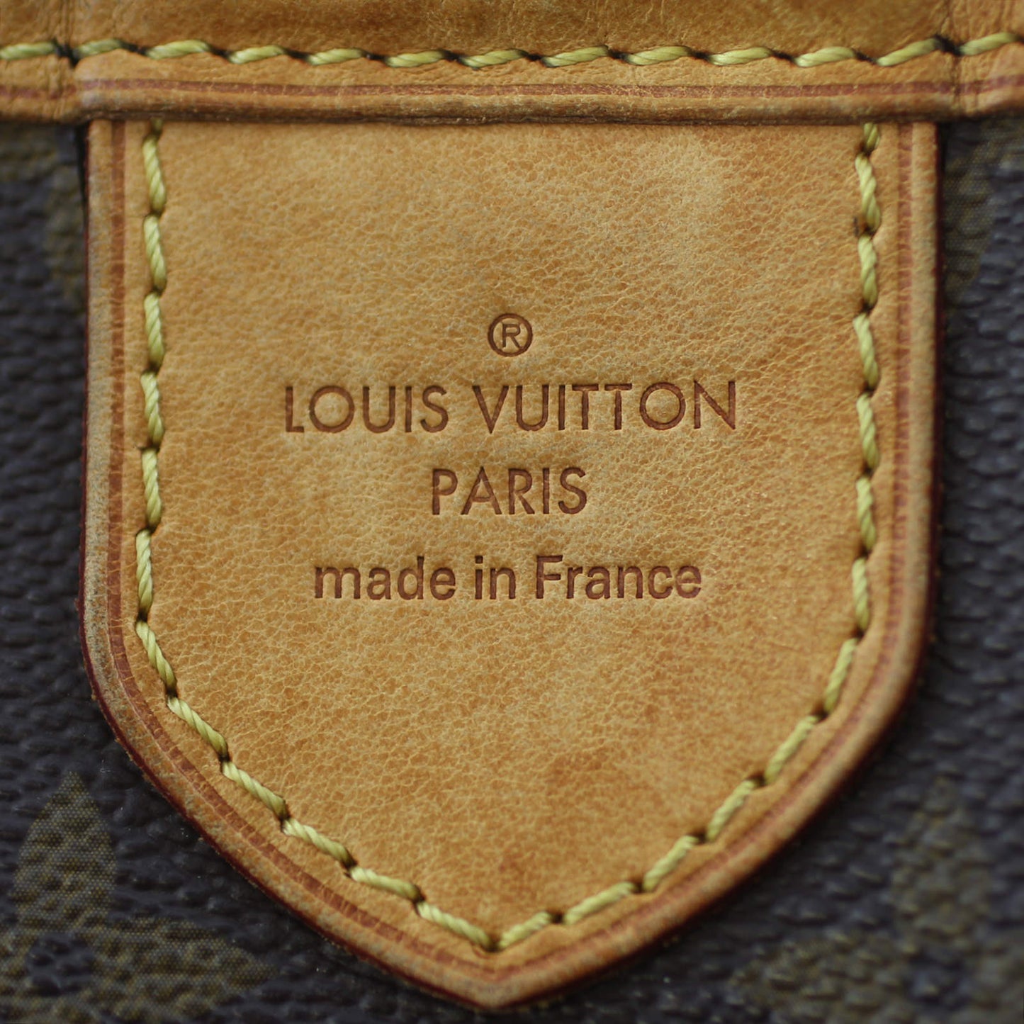 Louis Vuitton Delightful PM Monogram