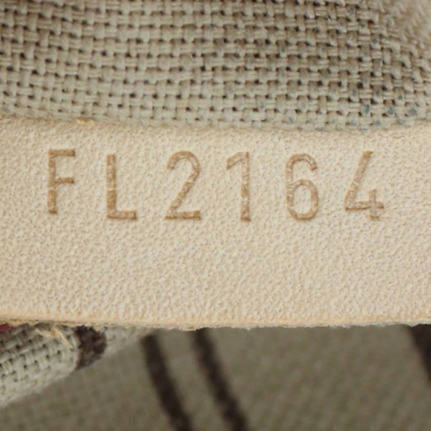 Louis Vuitton Delightful PM Monogram