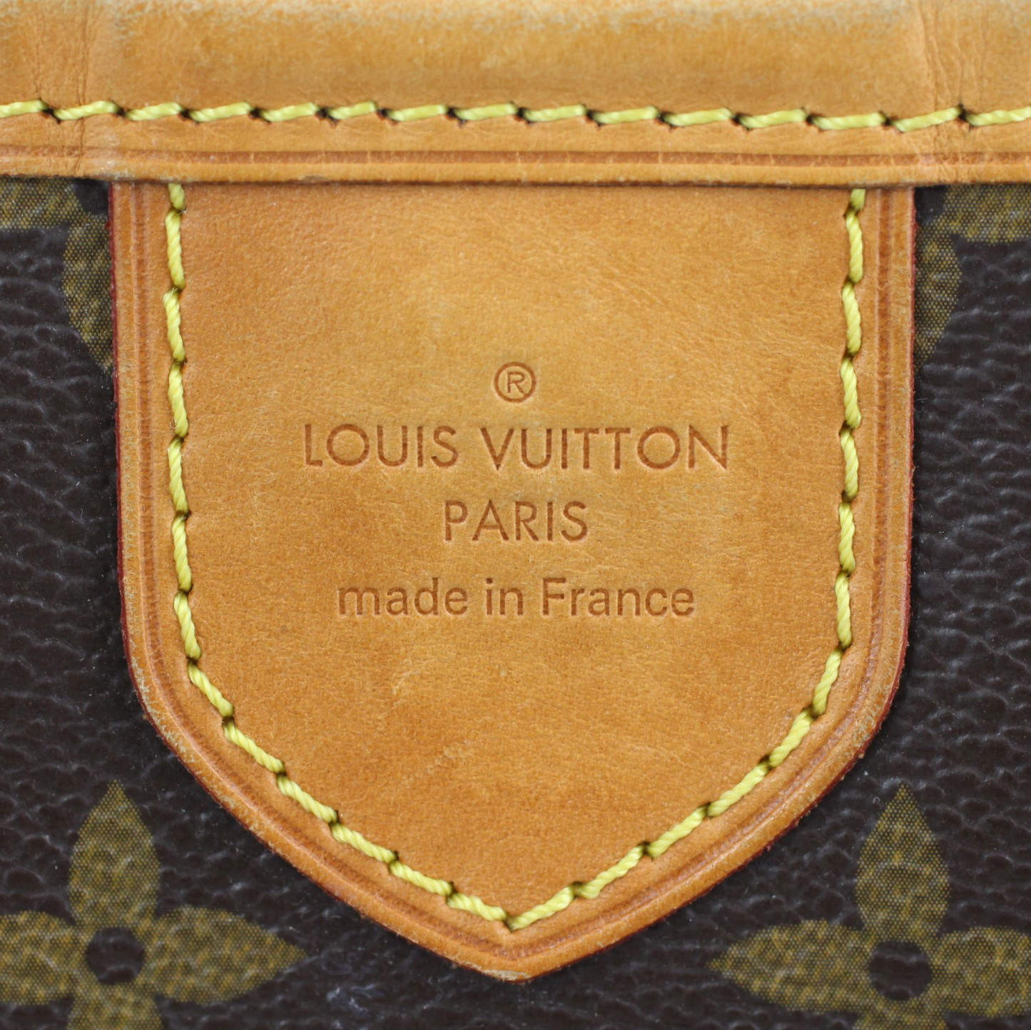 Louis Vuitton Delightful PM Monogram