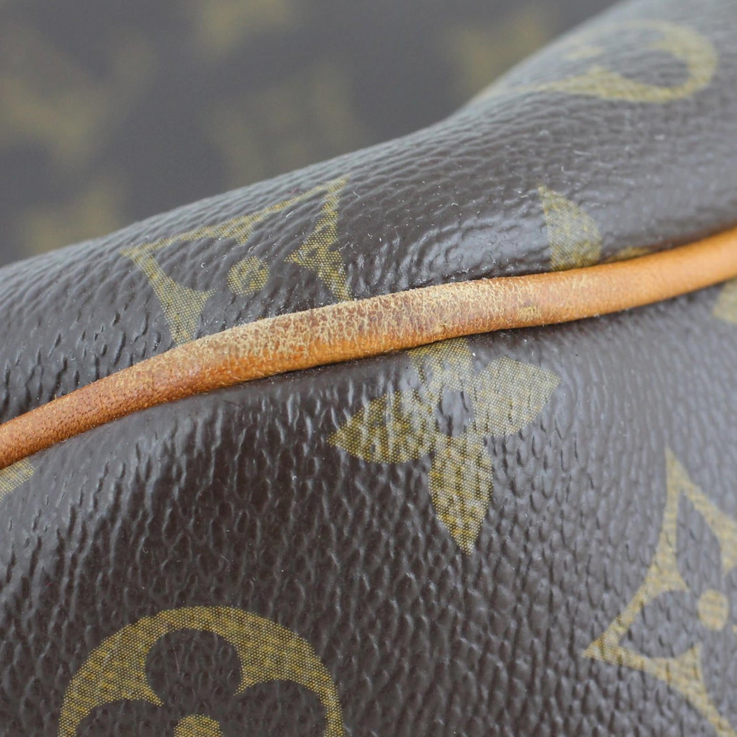 Louis Vuitton Delightful PM Monogram