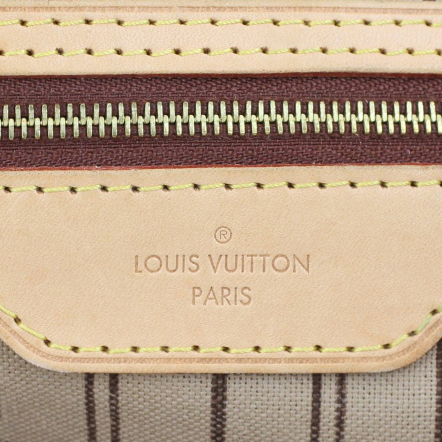 Louis Vuitton Delightful PM Monogram