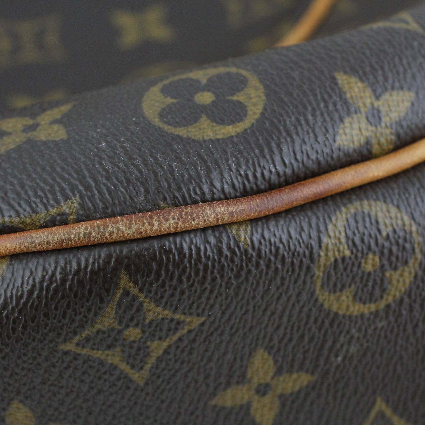 Louis Vuitton Galliera PM Monogram