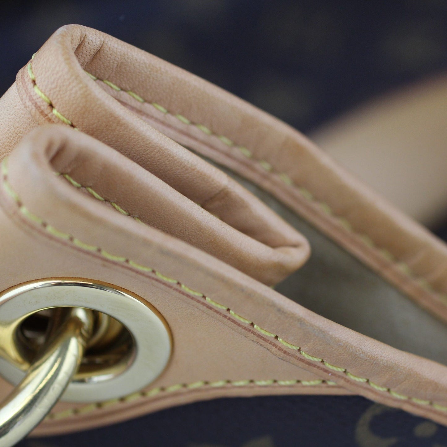 Louis Vuitton Galliera PM Monogram