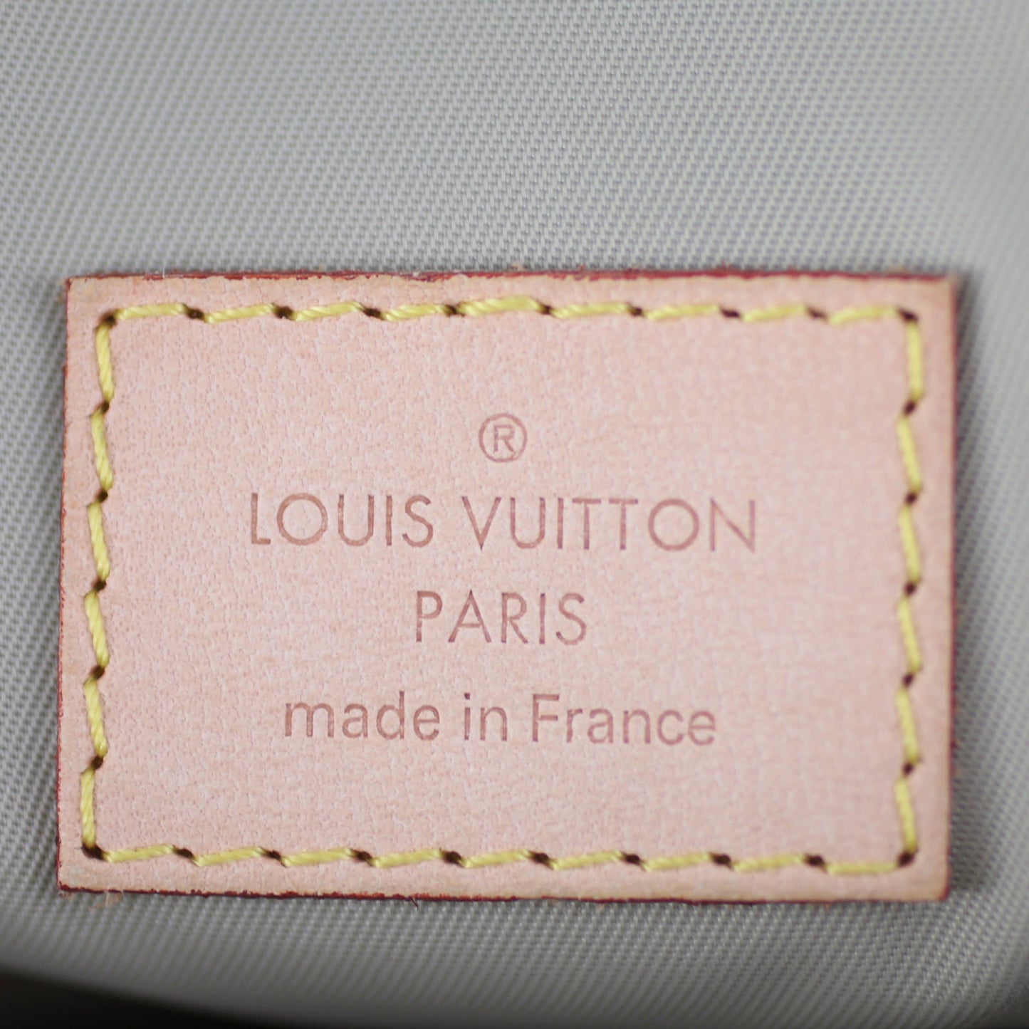 Louis Vuitton Damier Geant Citadin Earth Messenger
