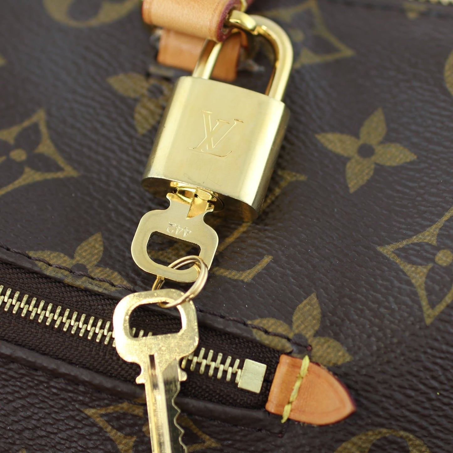 Louis Vuitton Iena PM Monogram