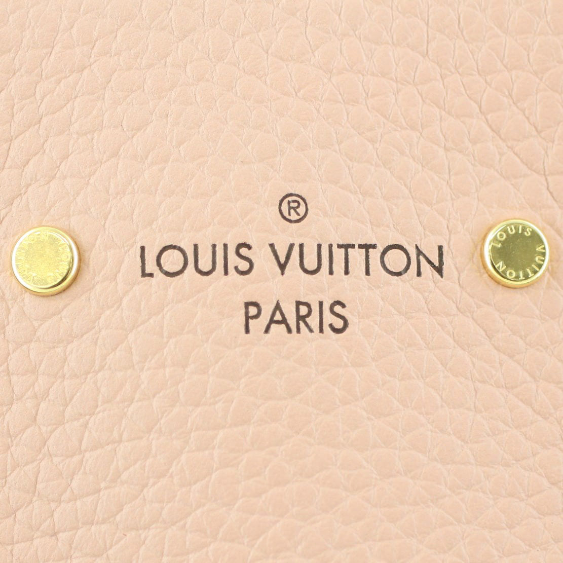 Louis Vuitton Jersey Damier Ebene Magnolia