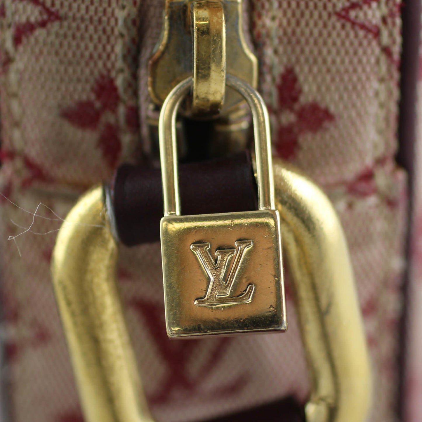 Louis Vuitton Juliette Mini Lin Crossbody