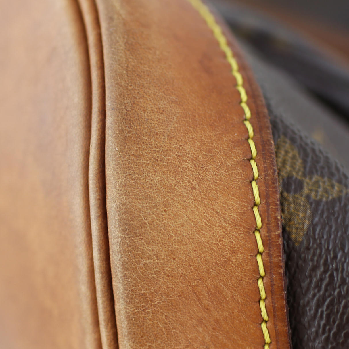 Louis Vuitton Montsouris MM Monogram