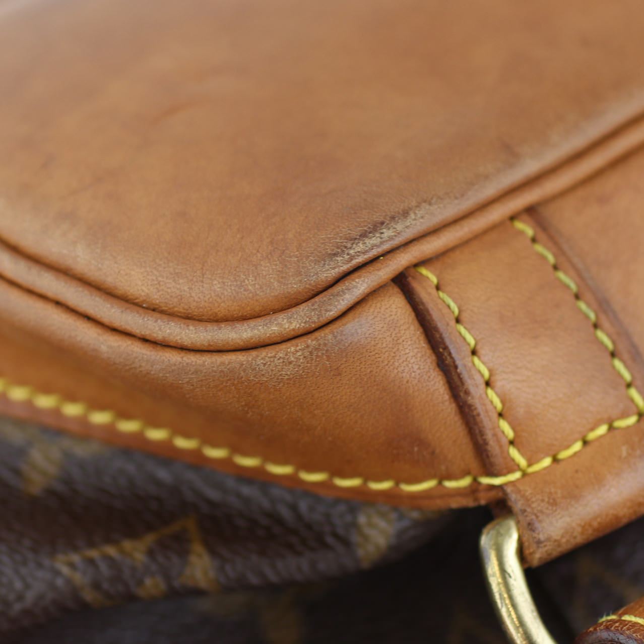 Louis Vuitton Montsouris MM Monogram