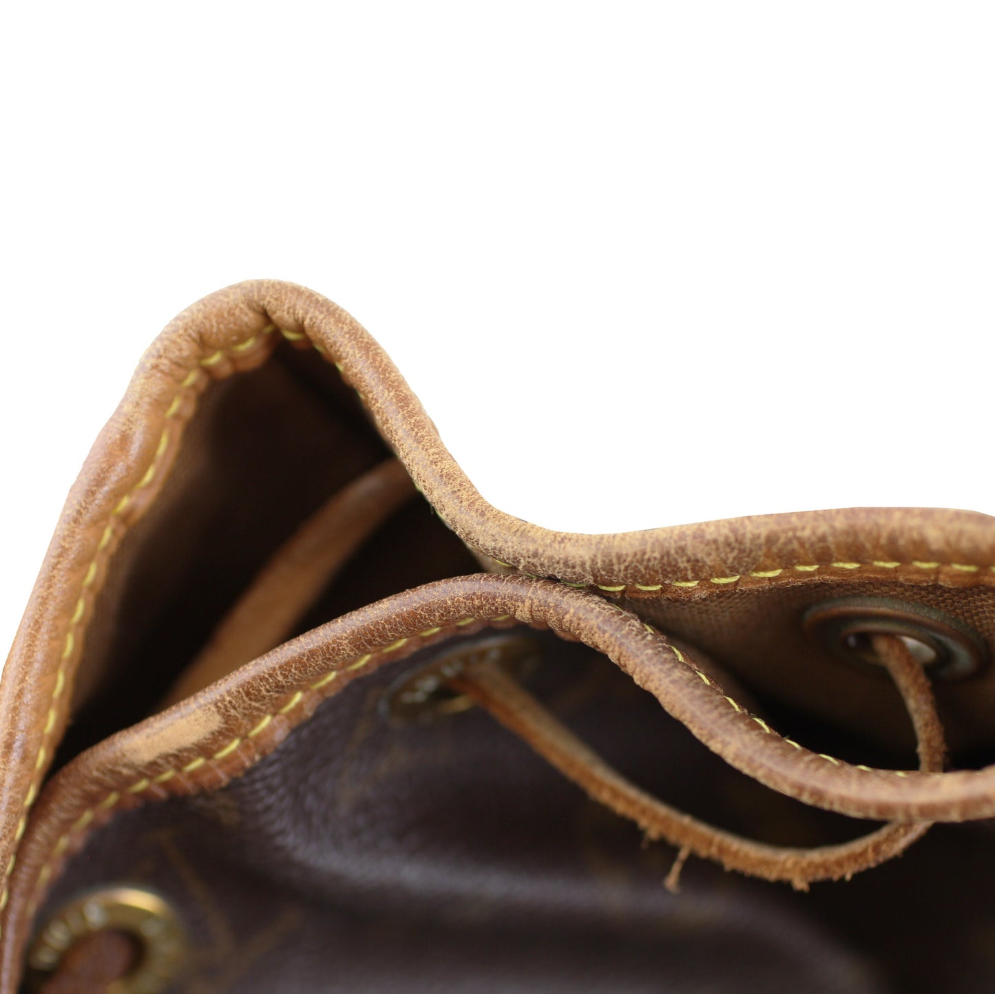 Louis Vuitton Montsouris MM Monogram