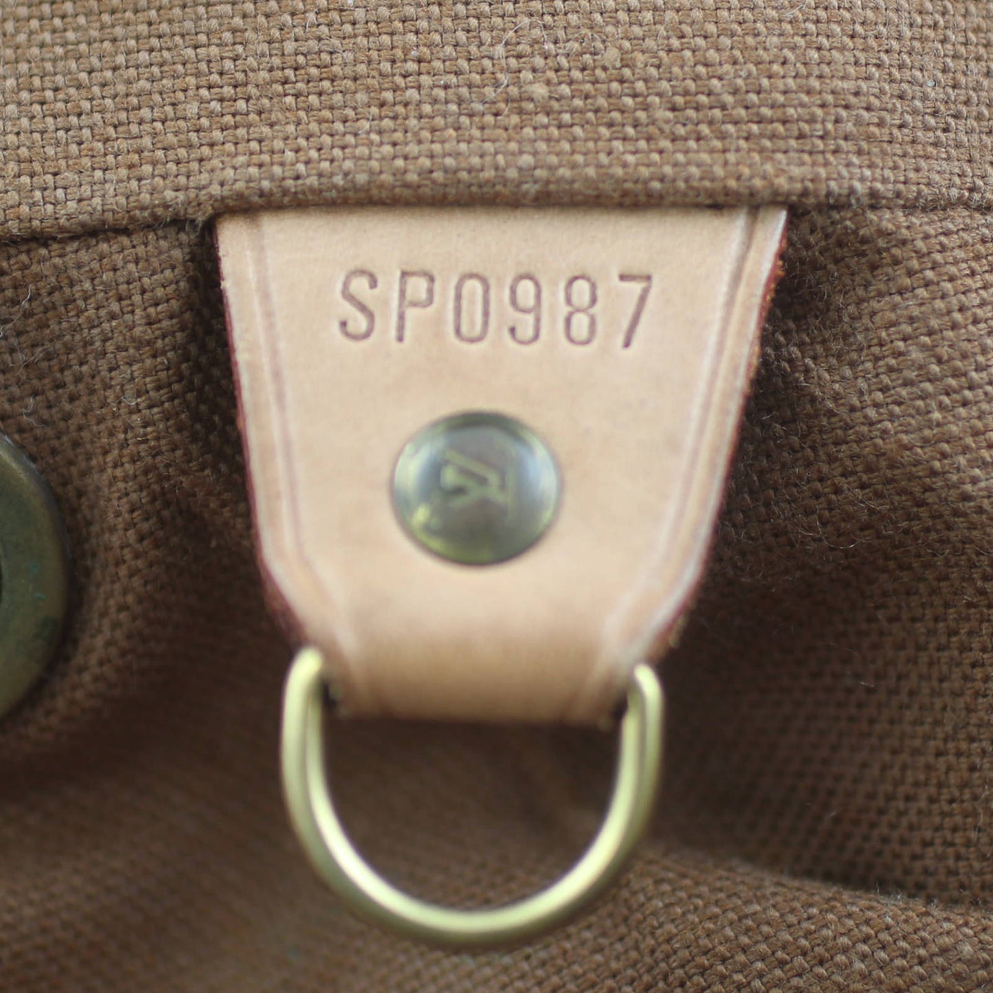 Louis Vuitton Montsouris MM Backpack