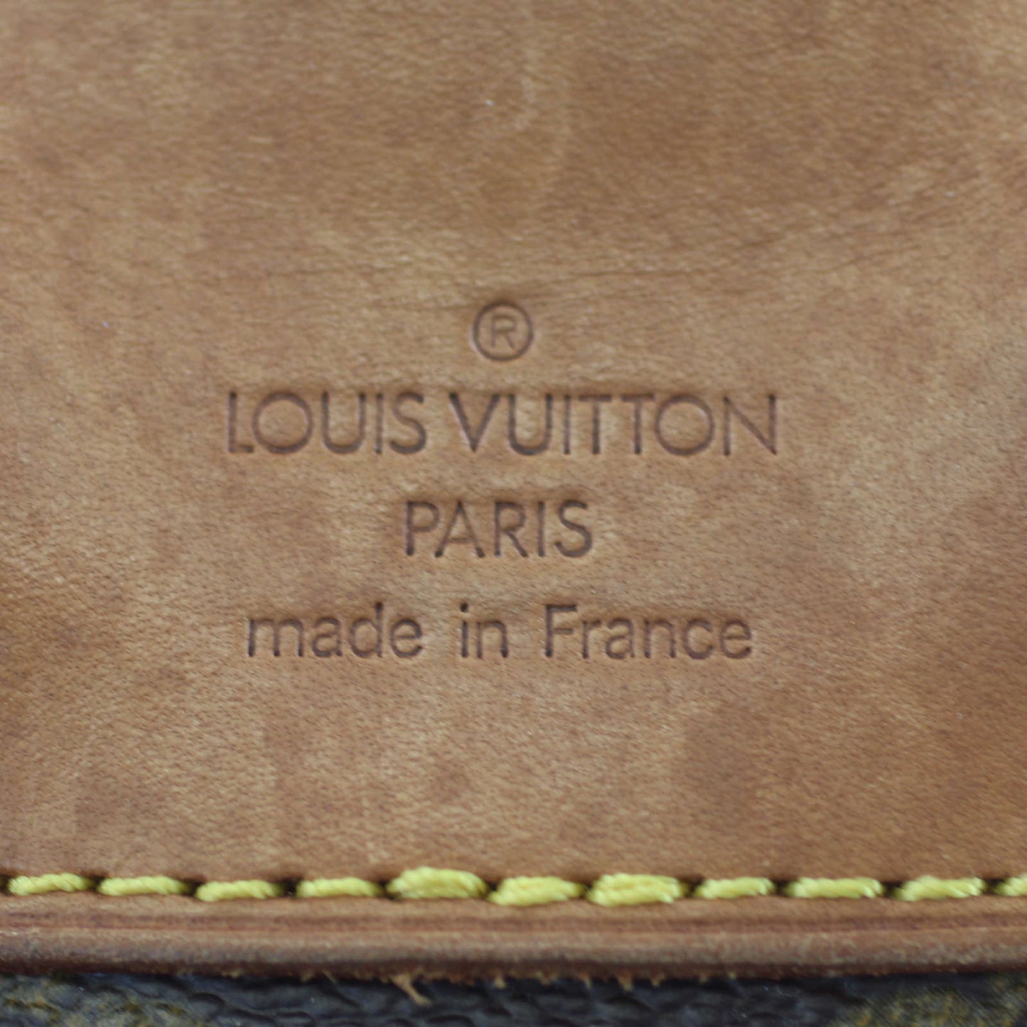 Louis Vuitton Montsouris MM Backpack