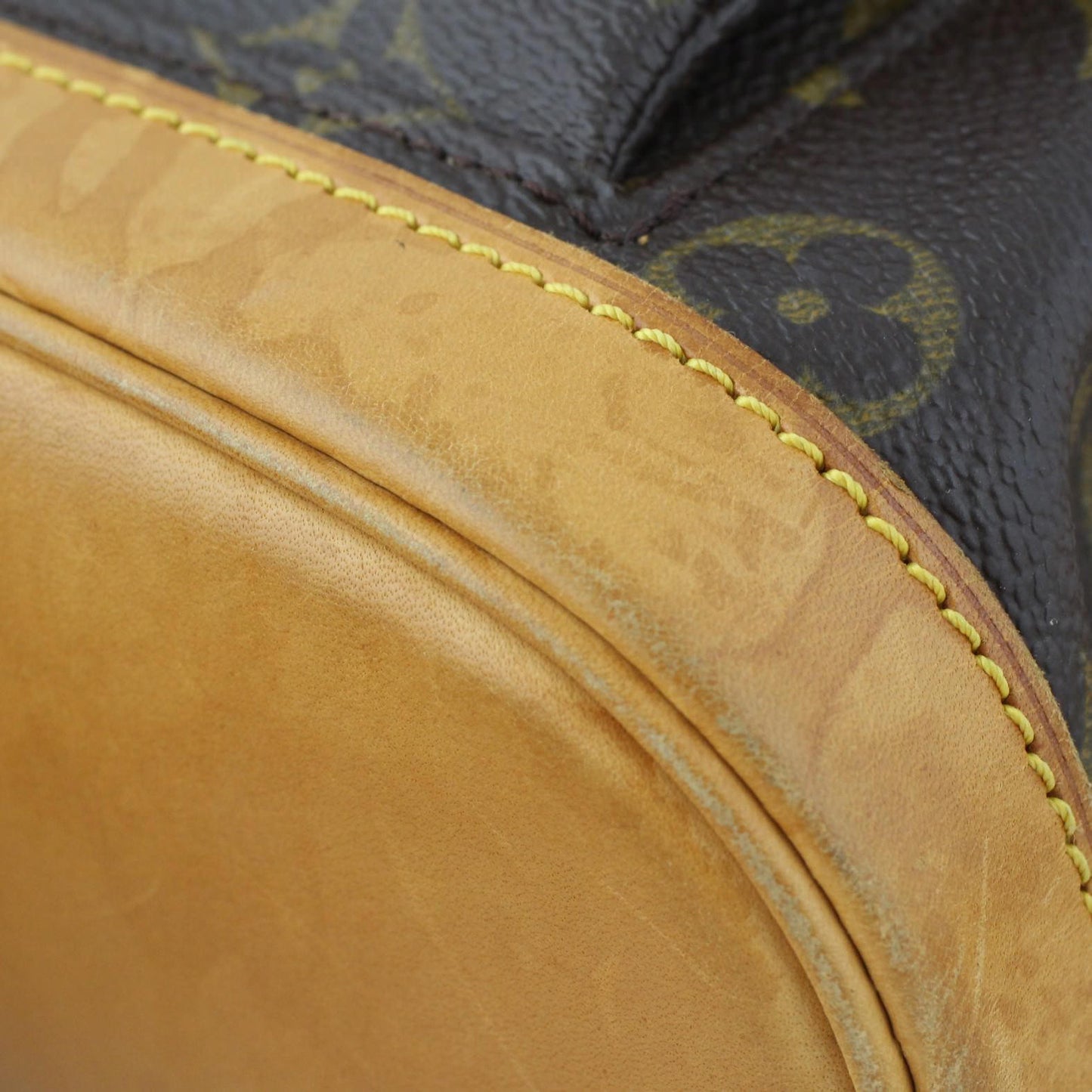 Louis Vuitton Montsouris PM Backpack