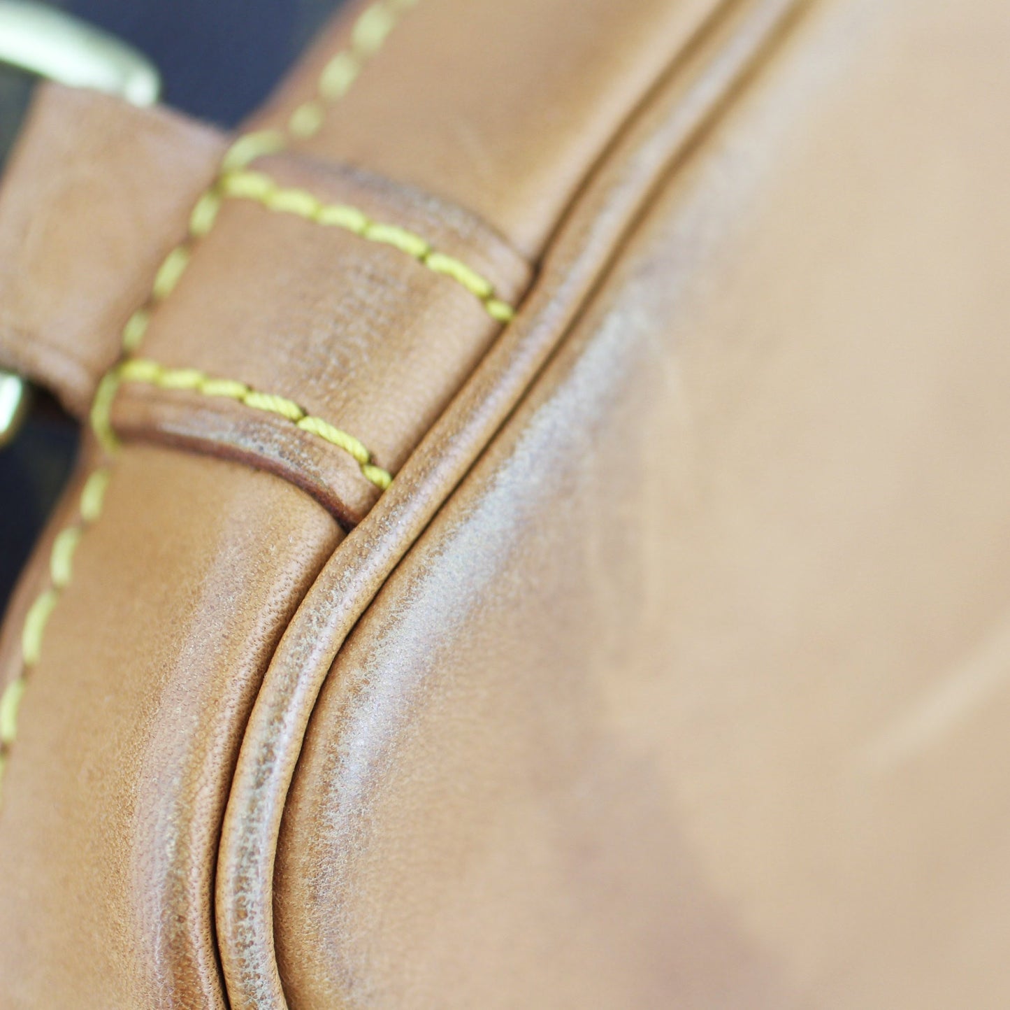 Louis Vuitton Montsouris PM Monogram