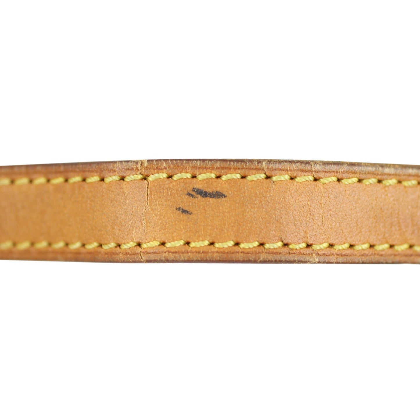 Louis Vuitton Montsouris PM Monogram
