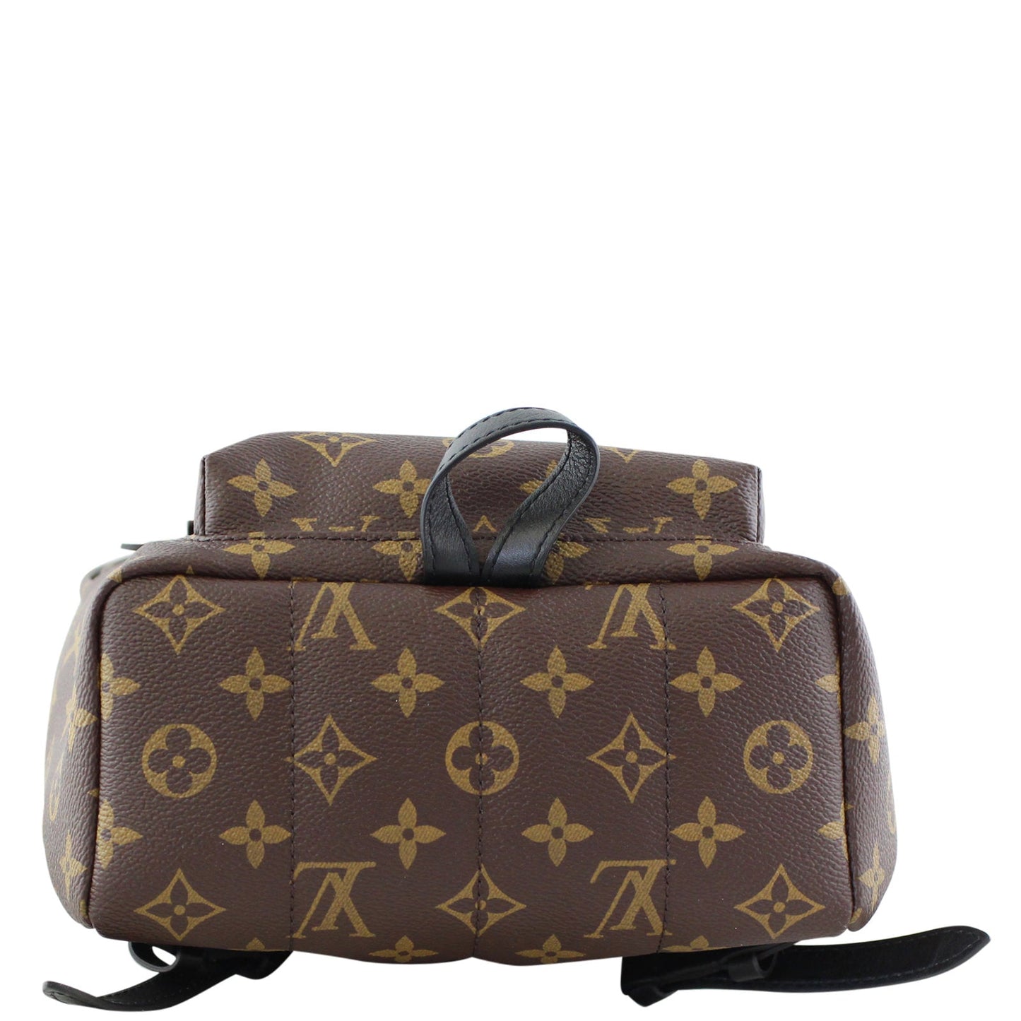 Louis Vuitton Palm Springs Backpack PM Monogram