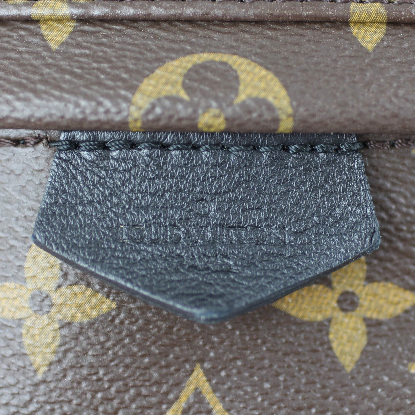 Louis Vuitton Palm Springs Backpack PM Monogram