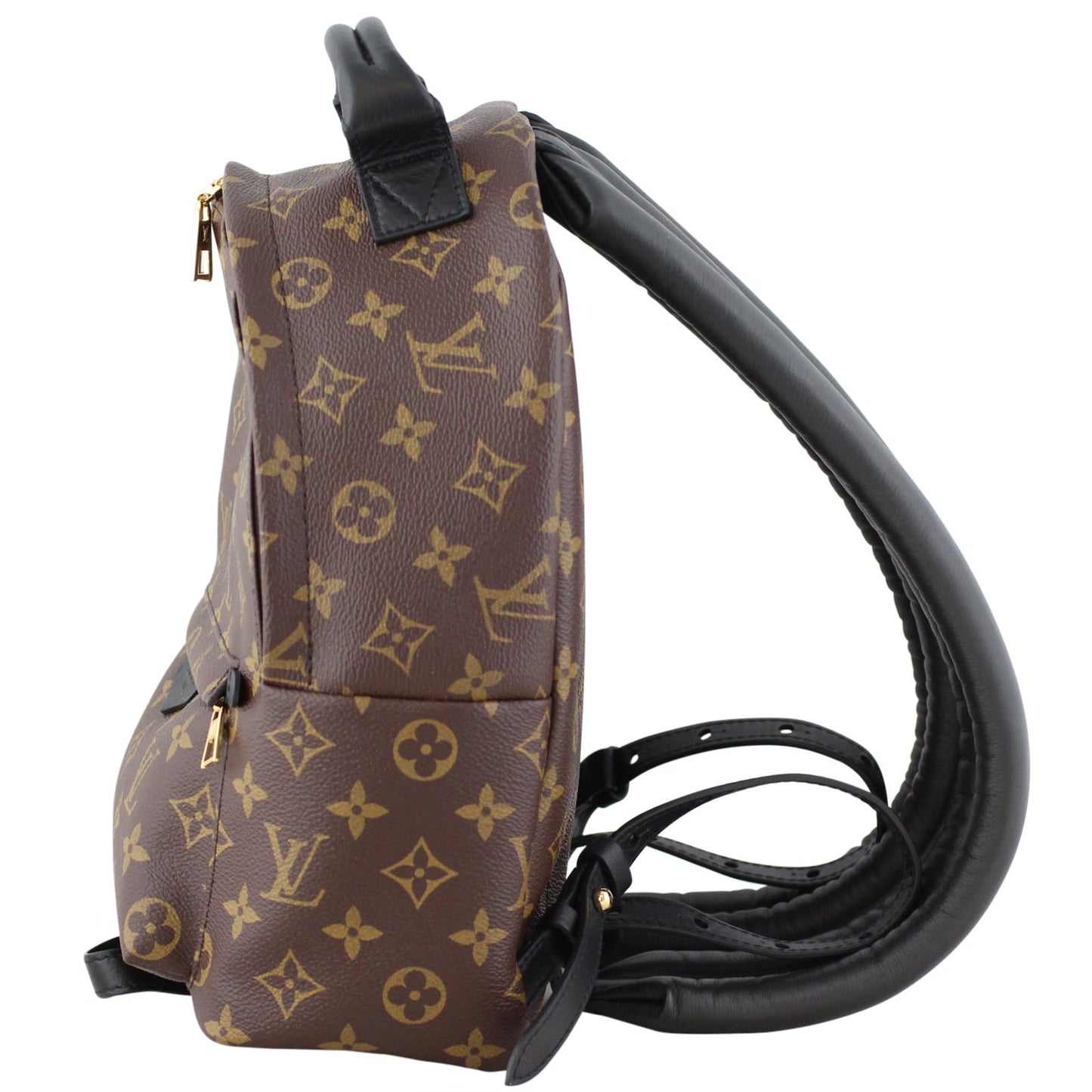 Louis Vuitton Palm Springs Backpack PM Monogram