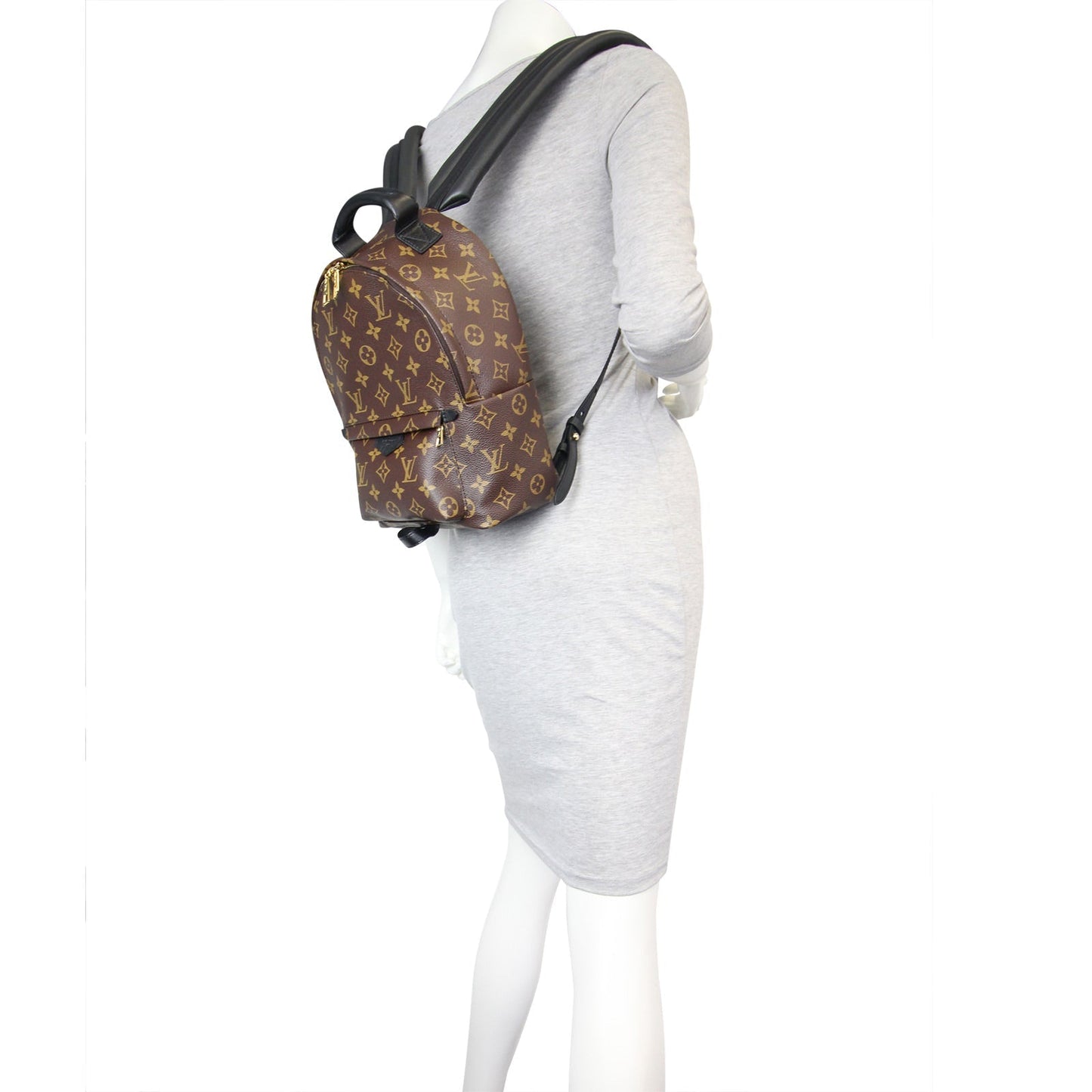 Louis Vuitton Palm Springs Backpack PM Monogram