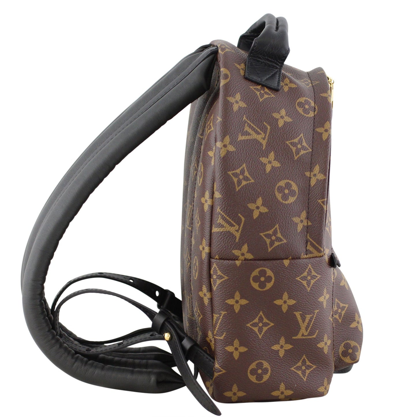 Louis Vuitton Palm Springs Backpack PM Monogram