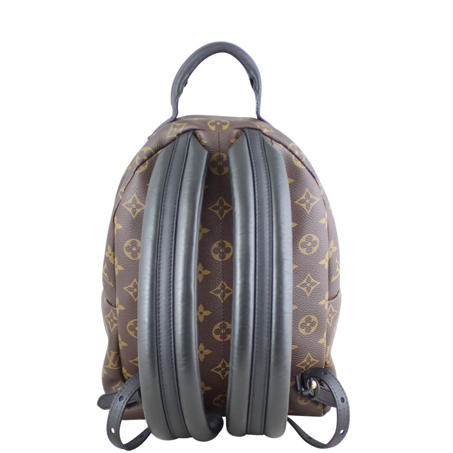Louis Vuitton Palm Springs Backpack PM Monogram