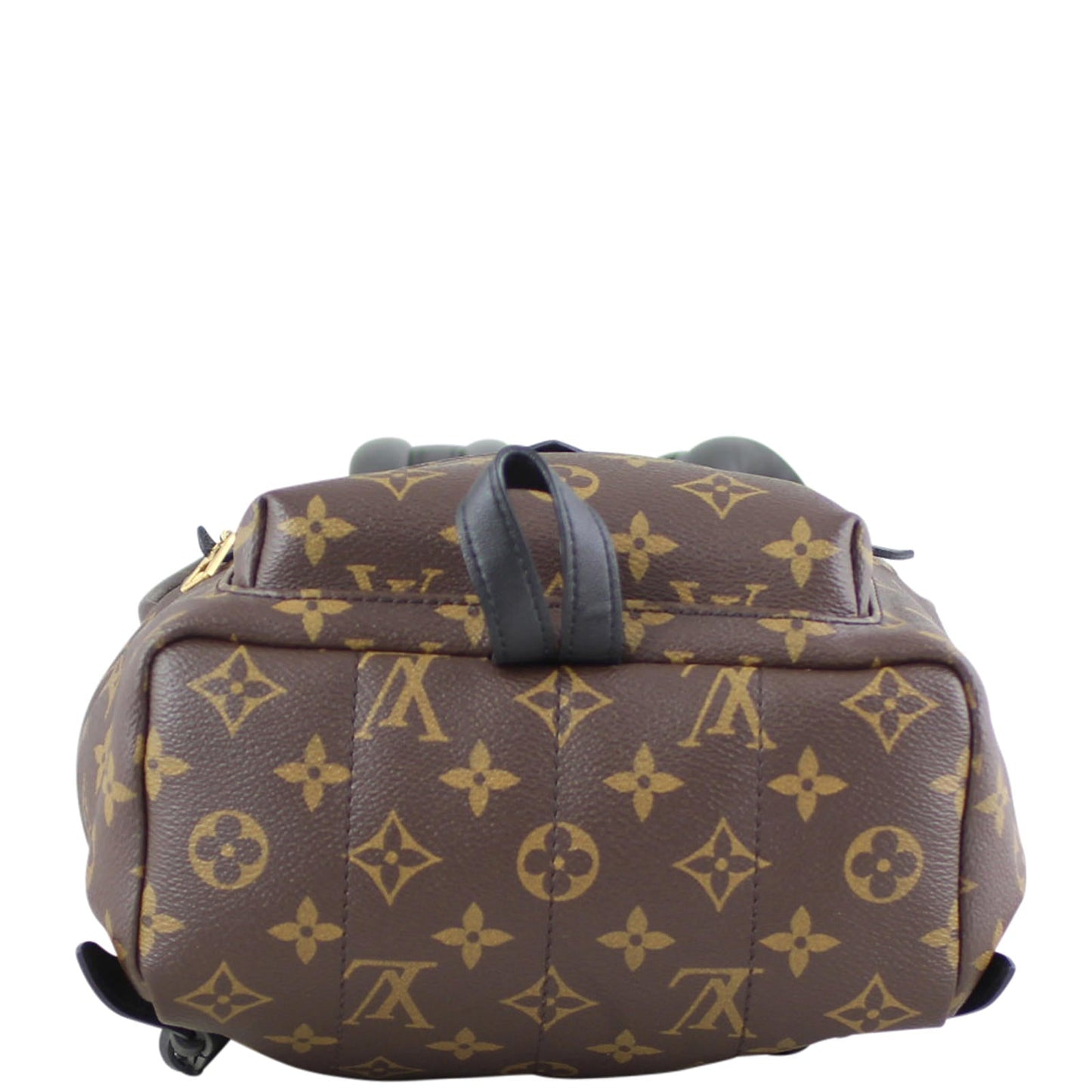 Louis Vuitton Palm Springs Backpack PM Monogram