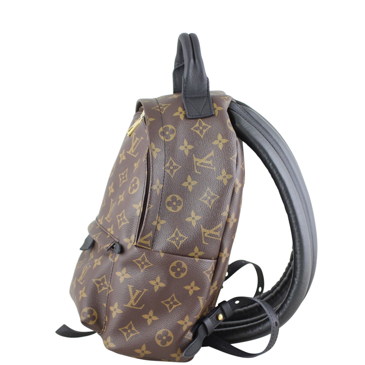 Louis Vuitton Palm Springs Backpack PM Monogram