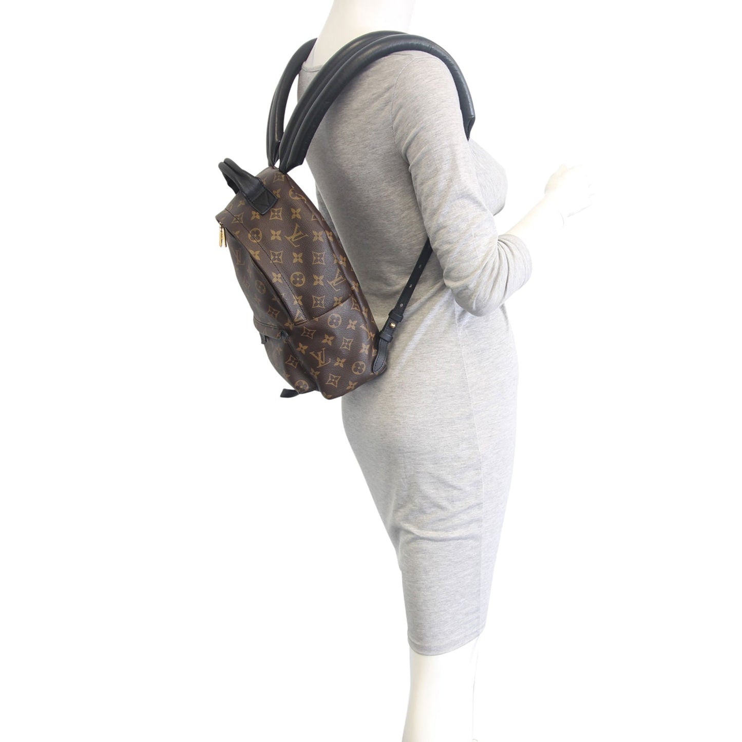 Louis Vuitton Palm Springs Backpack PM Monogram