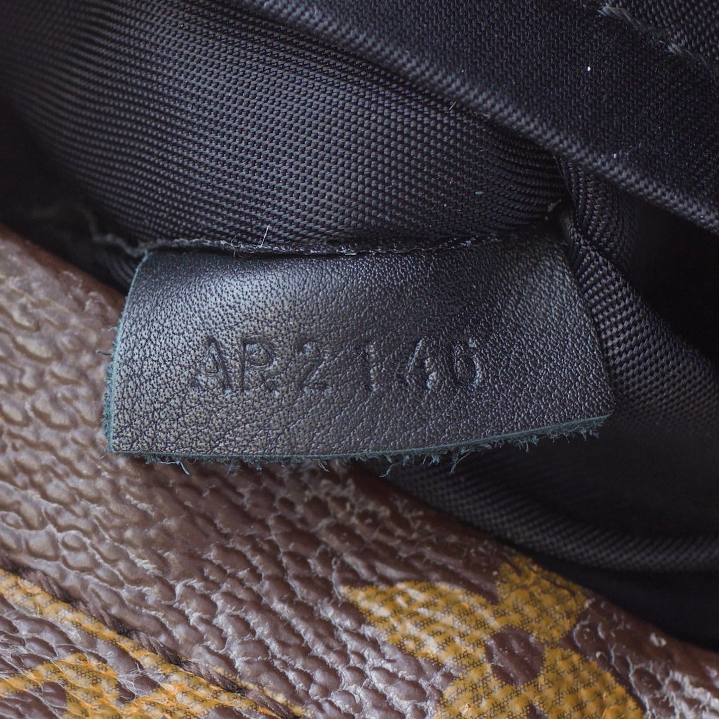 Louis Vuitton Palm Springs Mini Backpack