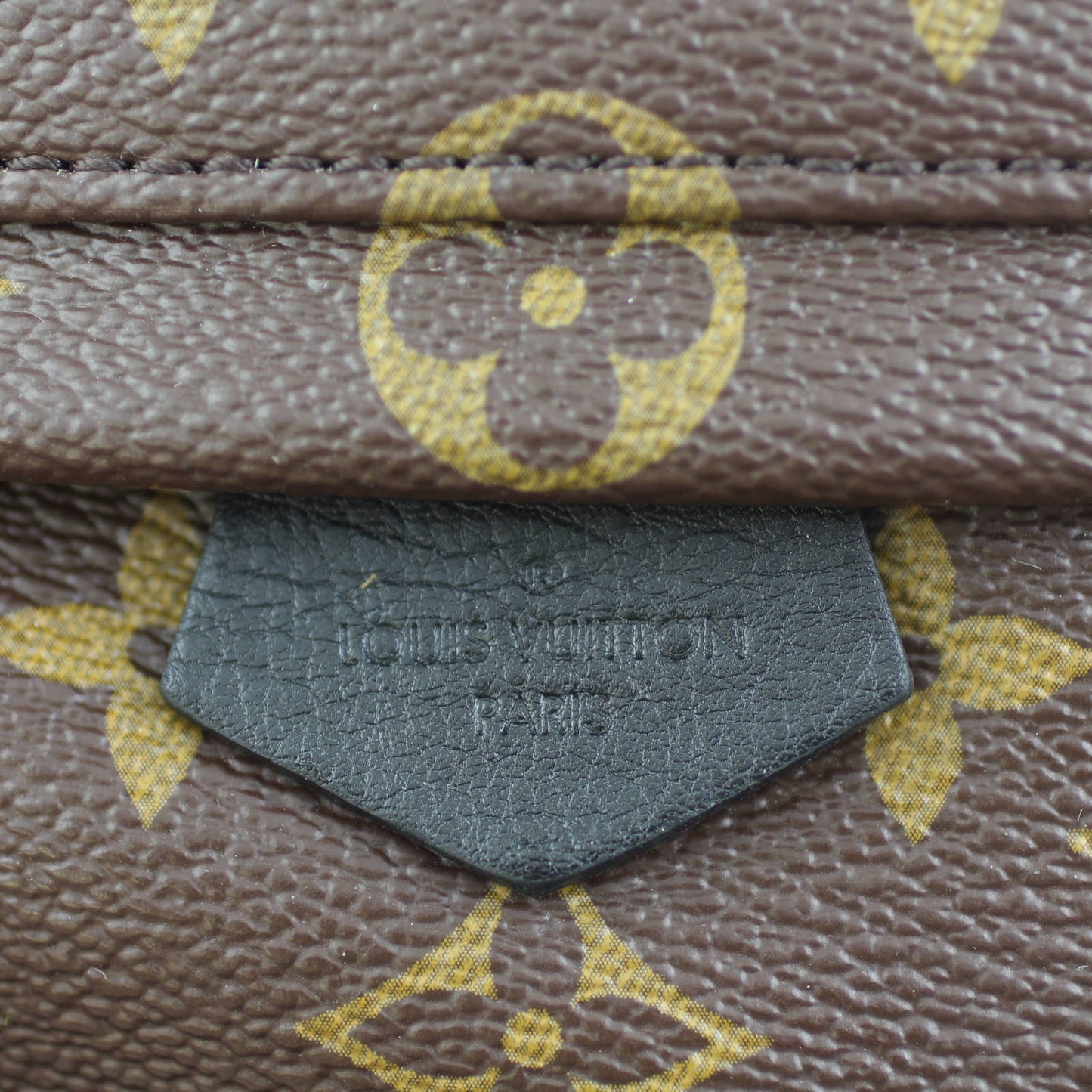 Louis Vuitton Palm Springs Mini Backpack Monogram