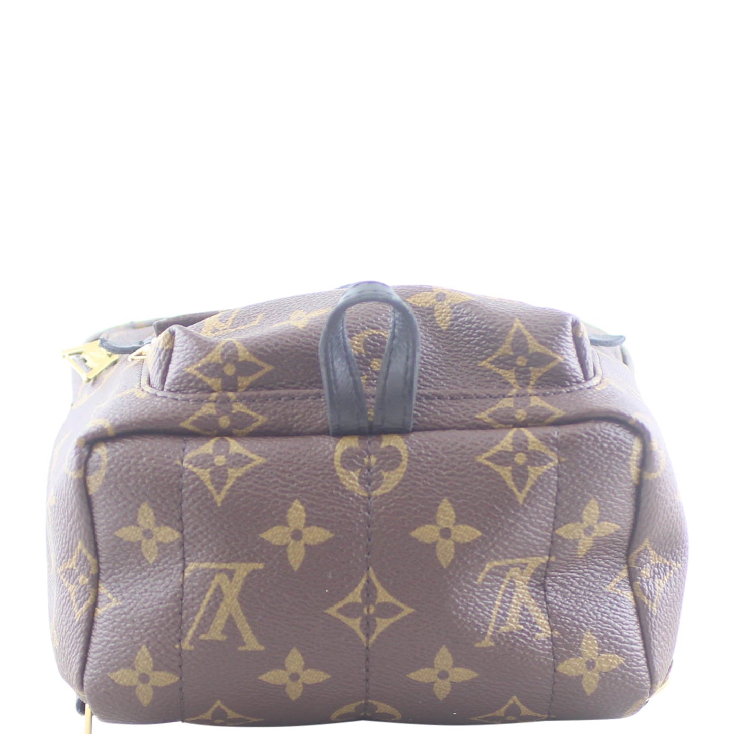 Louis Vuitton Palm Springs Mini Backpack Monogram