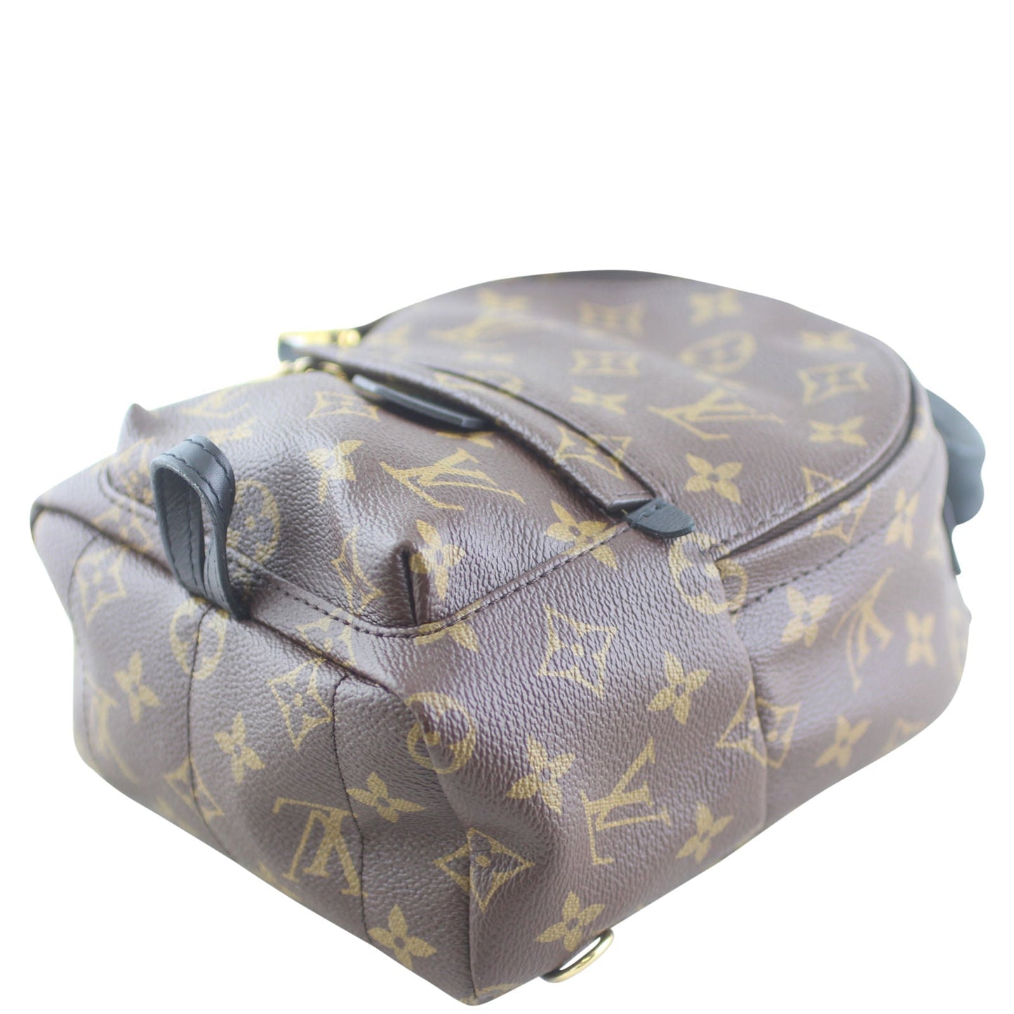 Louis Vuitton Palm Springs Mini Backpack Monogram