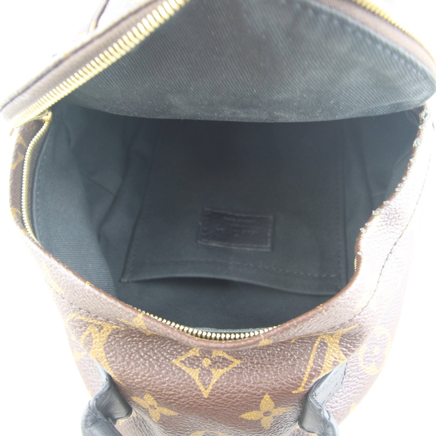 Louis Vuitton Palm Springs Mini Backpack Monogram
