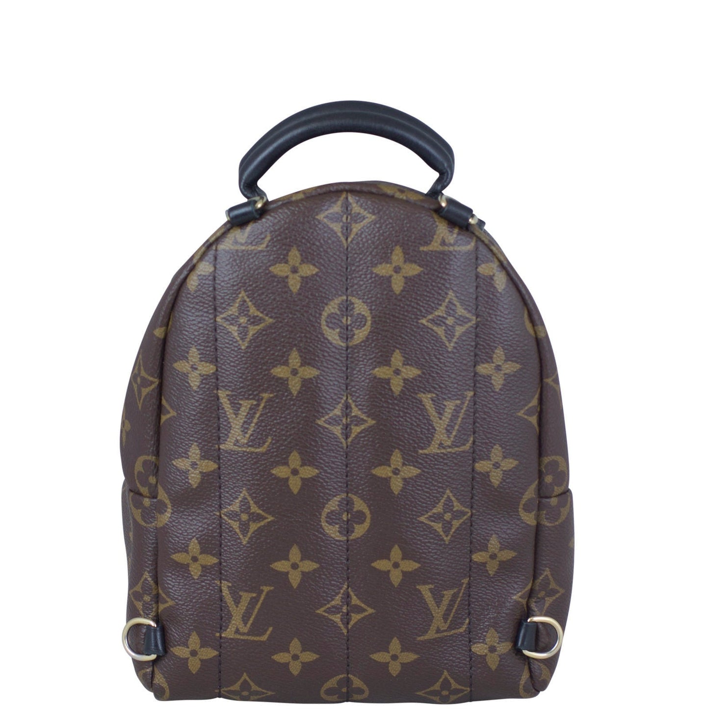 Louis Vuitton Palm Springs Mini Backpack