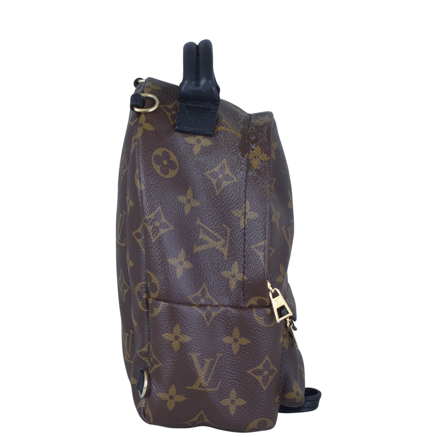 Louis Vuitton Palm Springs Mini Backpack