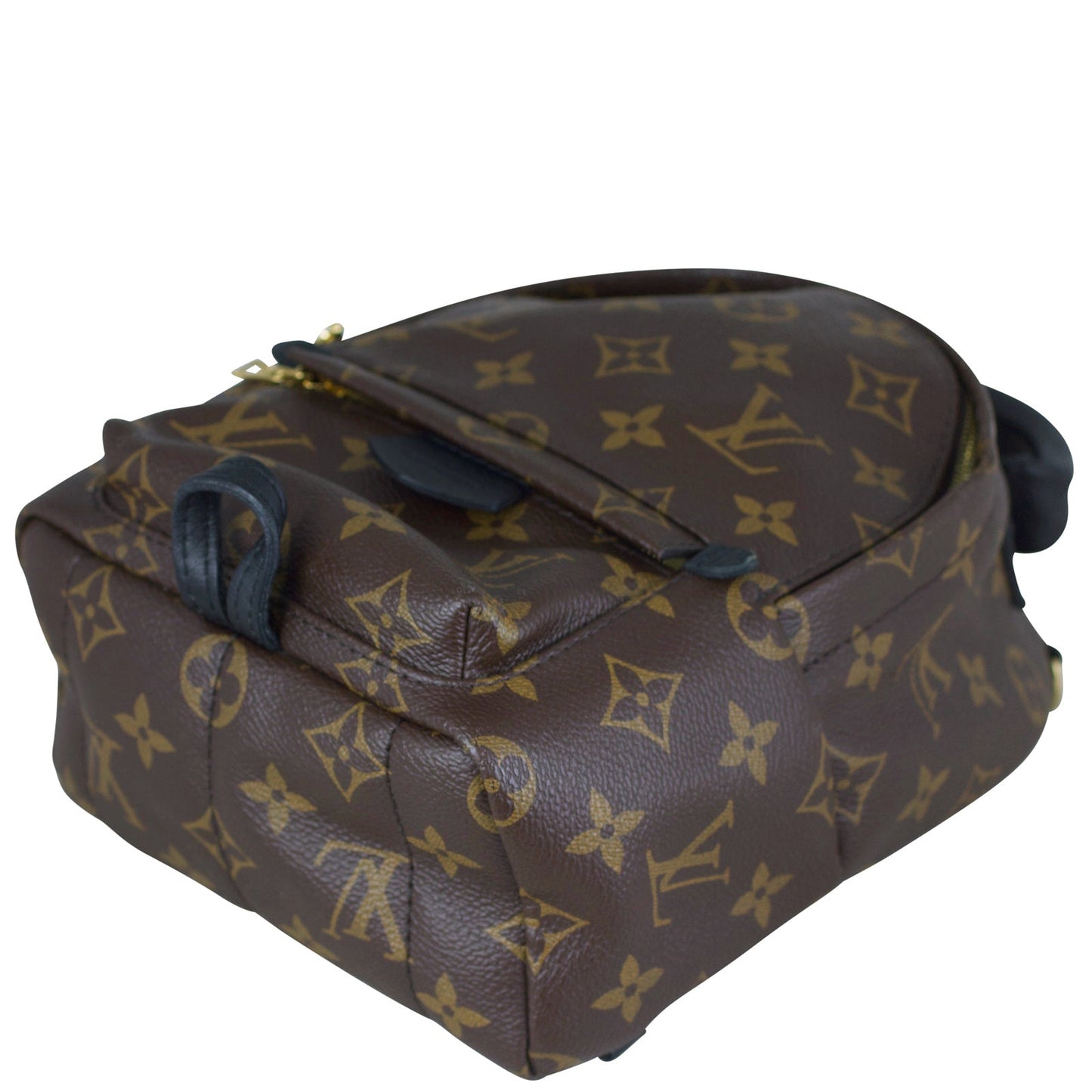 Louis Vuitton Palm Springs Mini Backpack