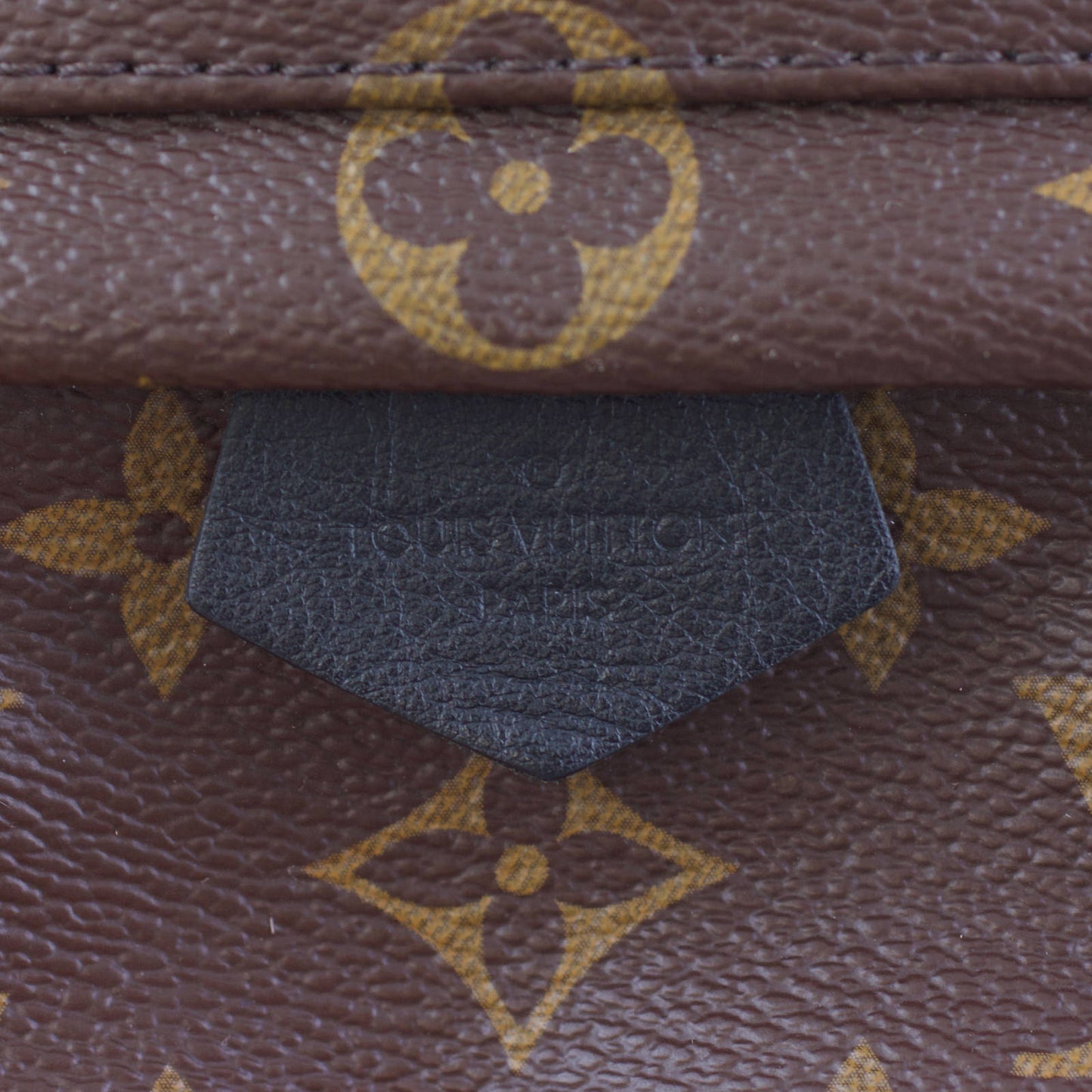 Louis Vuitton Palm Springs Mini Backpack