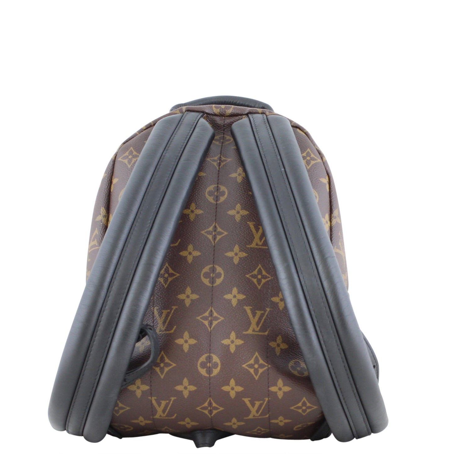 Louis Vuitton Palm Springs Backpack PM Monogram
