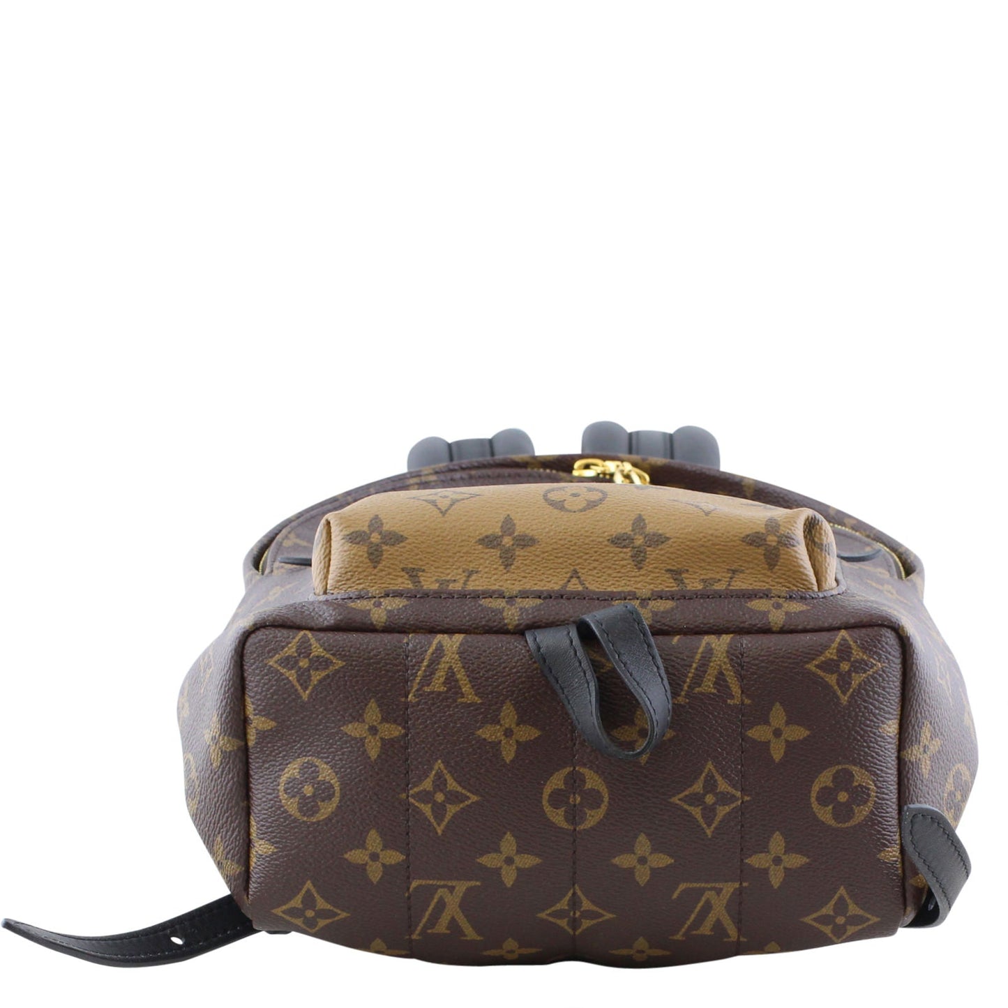 Louis Vuitton Palm Springs Backpack PM Monogram
