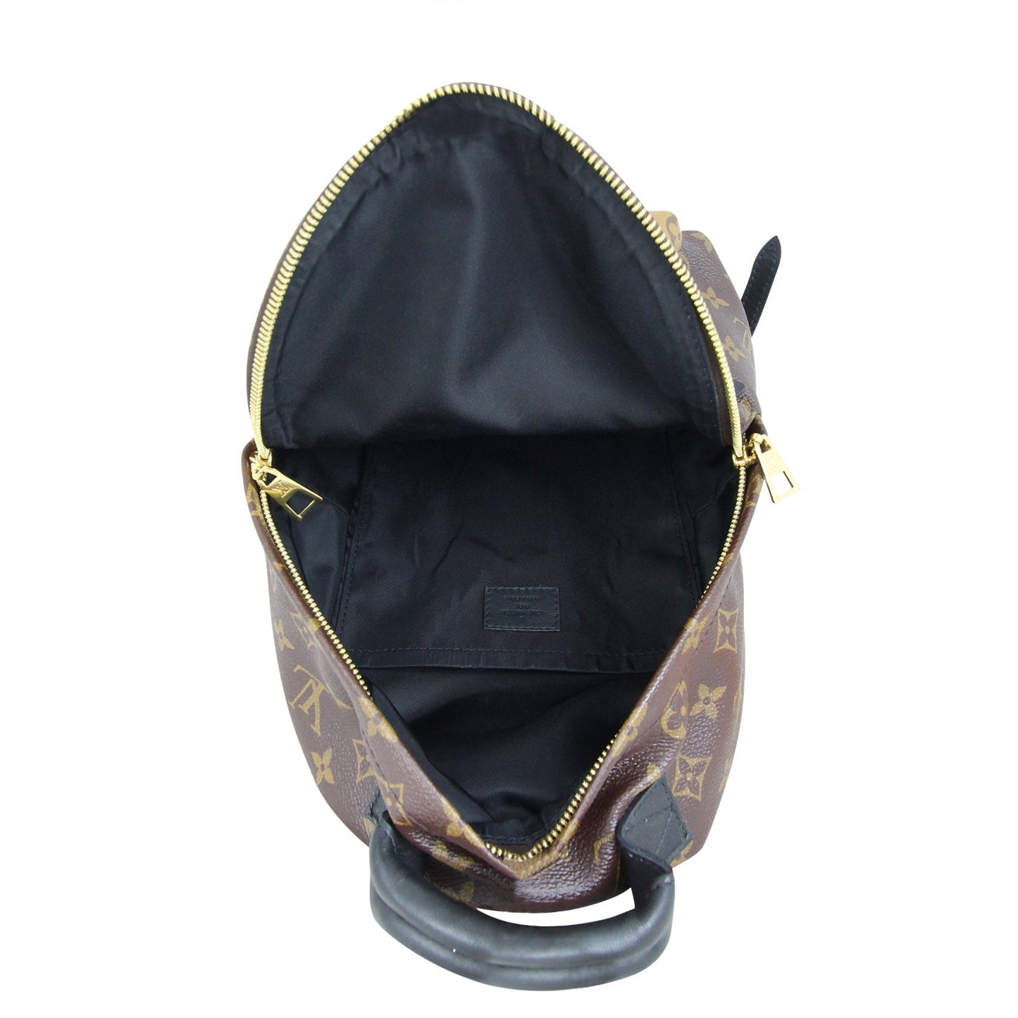 Louis Vuitton Palm Springs Backpack PM Monogram