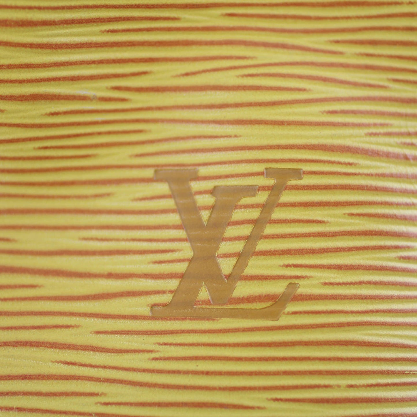 Louis Vuitton Petit Noe Epi