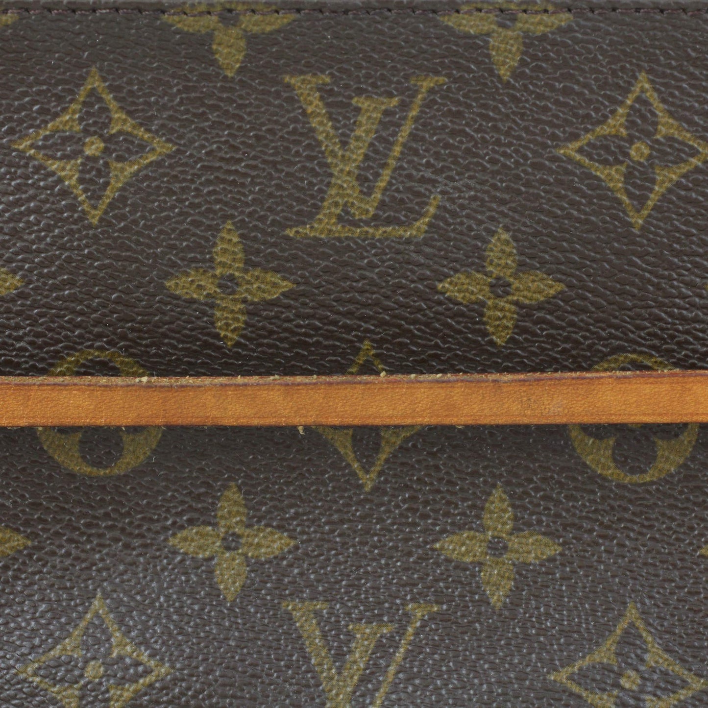 Louis Vuitton Pochette Accessories Monogram