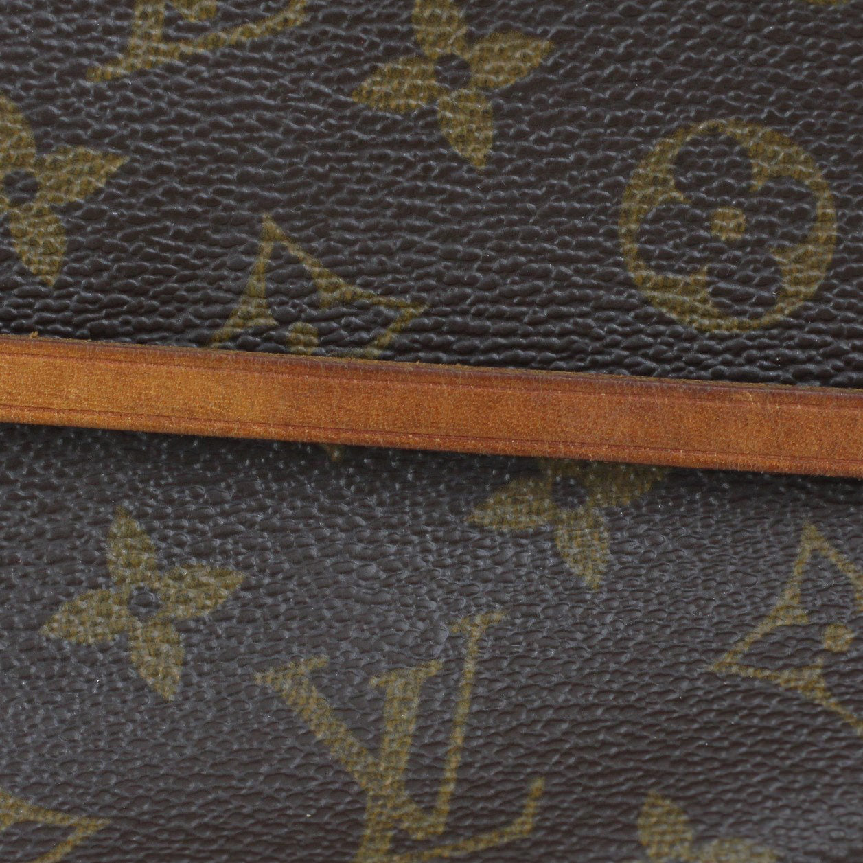 Louis Vuitton Pochette Accessories Monogram