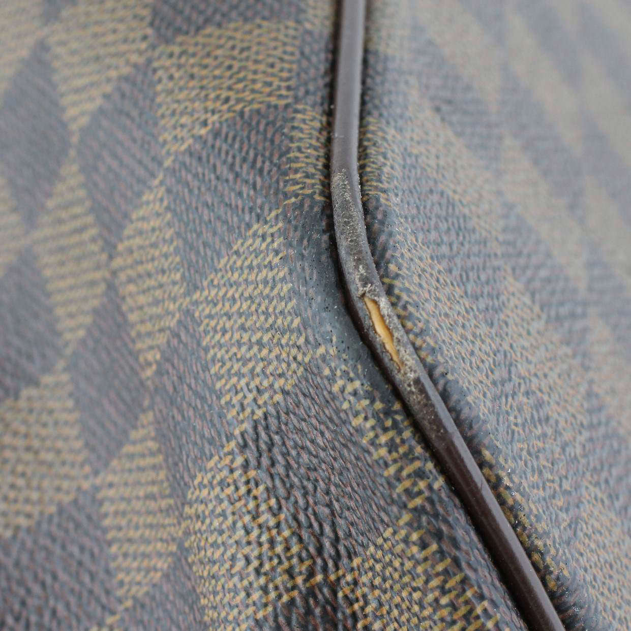 Louis Vuitton Saleya GM Damier Ebene