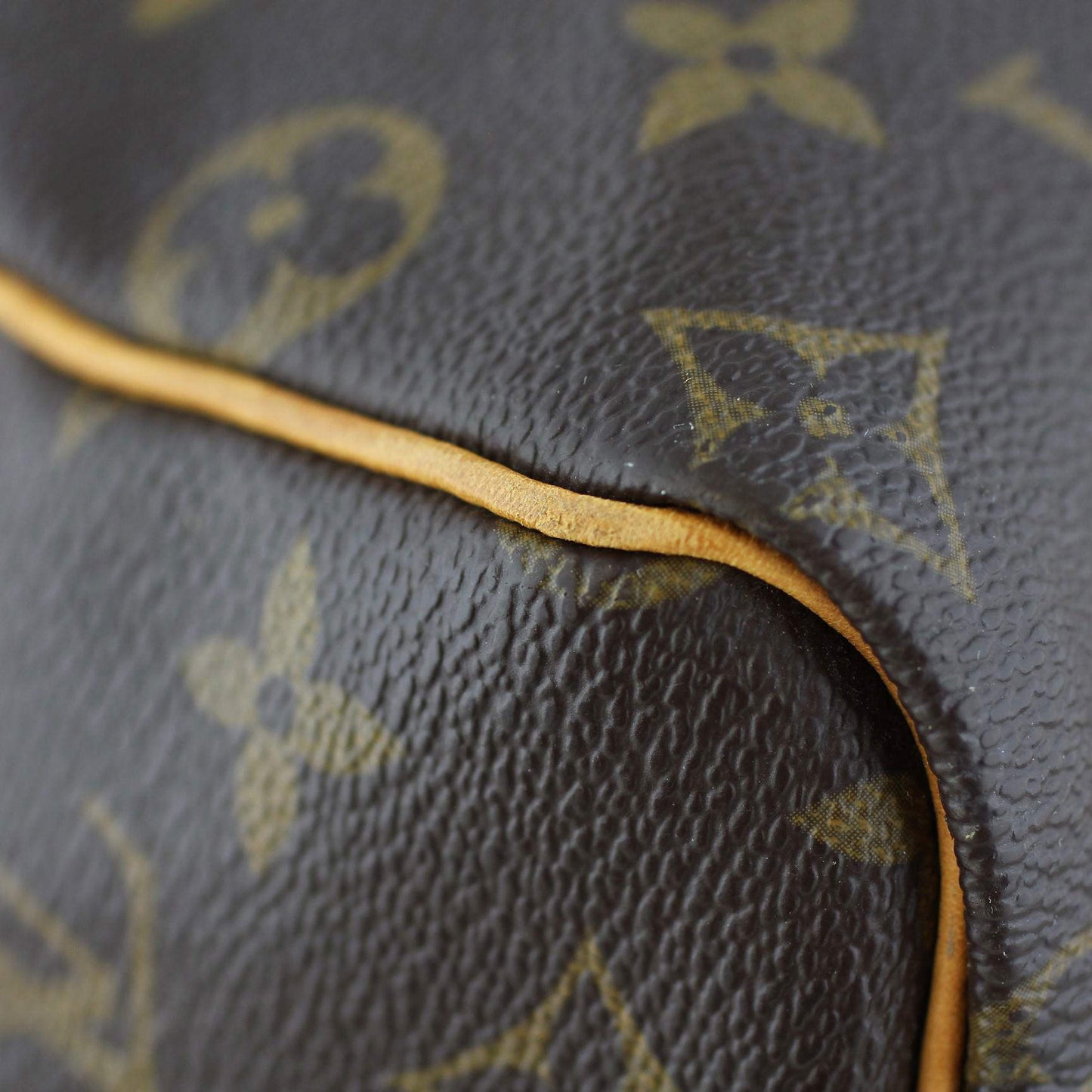 Louis Vuitton Speedy 25 Monogram
