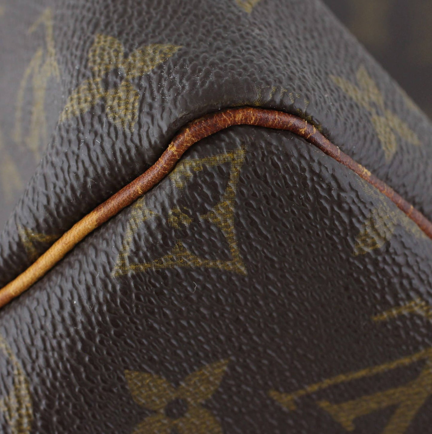 Louis Vuitton Speedy 30 Monogram
